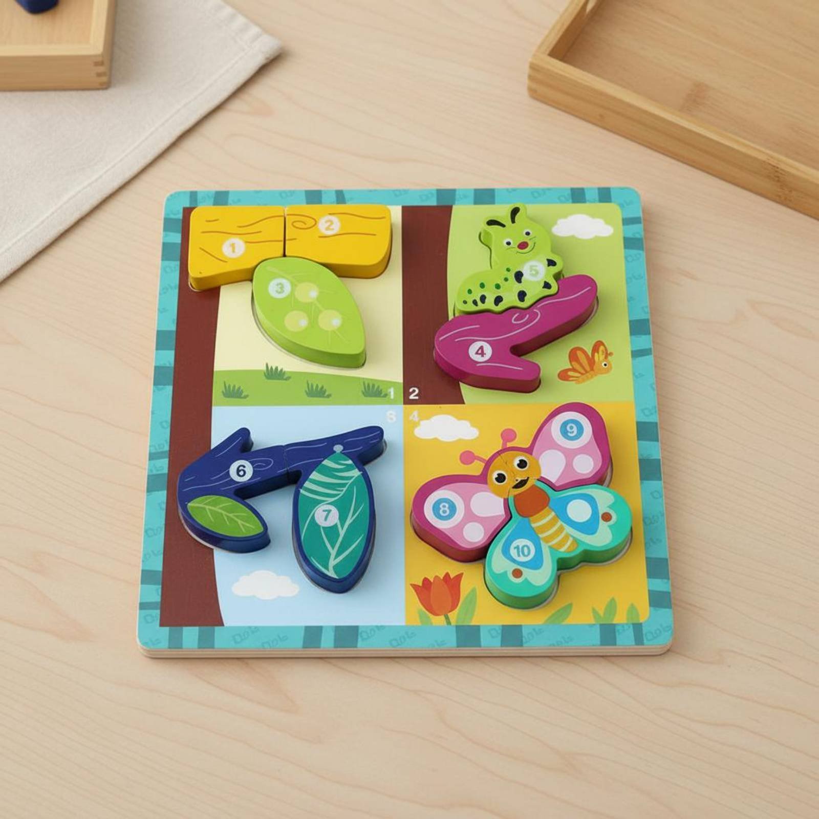 Gra planszowa o rozwoju poznaw – Board Game Nature recenzja i cena